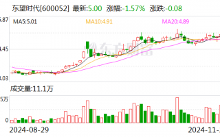 东望时代：公司子公司目前暂未涉及智能电网或者虚拟电厂