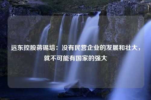 远东控股蒋锡培：没有民营企业的发展和壮大，就不可能有国家的强大