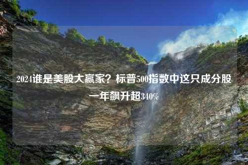 2024谁是美股大赢家？标普500指数中这只成分股一年飙升超340%