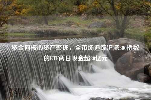 资金向核心资产聚拢，全市场追踪沪深300指数的ETF两日吸金超80亿元