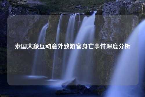 泰国大象互动意外致游客身亡事件深度分析