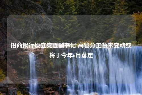 招商银行设立党委副书记 高管分工暂未变动或将于今年6月落定