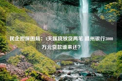 民企担保困局：4天蹊跷放贷两笔 赣州银行3000万元贷款谁来还？