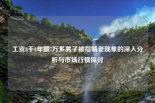 工资8千1年攒7万多男子被指啃老现象的深入分析与市场行情探讨